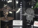 Salute 2018 Heresy 2