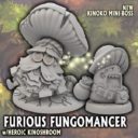 Ninja Divison Super Dungeon Explore FURIOUS FUNGOMANCER