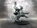 Review AoS SoulWars 32