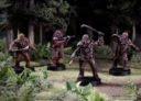 Fantasy Flight Games Star Wars Legion Wookiee Warriors Unit Expansion 4