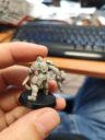 PG Prodos Warzone Hartplastik Preview 8