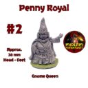Midlam Gnome Ks3