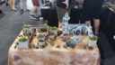 CNC Miniature Scenery Cancon Bilder 3