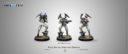 INF RaoulSpector Prev02