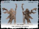 GT Studio Orc Warband Collectors By Yedharo And GT Studio Creations 14