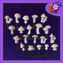 BSG Mushrooms