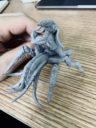Awaken Realms Nemesis Kickstarter Update 18