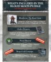 CMON Bloodborne The Board Game Kickstarter Update 1