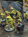 GW Garro Contrast Farben Previews 15