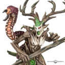 GW Sylvaneth Preview 4