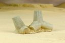 DUST Studio DUST 1947 TANK TRAPS SET B BABYLON PATTERN 5