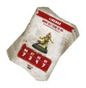 Games Workshop Blood Bowl Team Card Pack Wood Elf Team (Englisch) 2