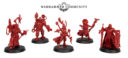 Games Workshop Growing Your Games Night Boardgames 5