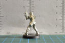 CB Celestial Guard Unboxing26