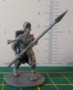 FFG Warriors Gebaut 9