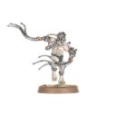 GW Arco Flagellants 2