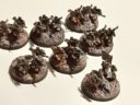 Vanguard Miniatures Novan Desert Cavalry Company 01
