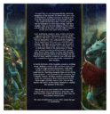 GW Battletome Seraphon (Limited Edition) (Englisch) 3