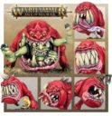 GW Start Collecting! Gloomspite Gitz 11