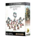 GW Start Collecting! Gloomspite Gitz 13