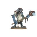 GW Start Collecting! Gloomspite Gitz 4