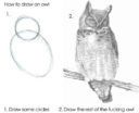 Draw An Owl