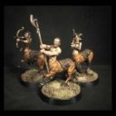 WA Centaurs 3