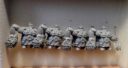 BW Brindelwald Dwarf Lords Of The Depths 11