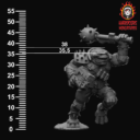 Hardcore FrogmanRitz 12