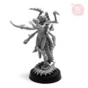 Artel W Miniatures Mistresses Of Flesh & Bicheta Da Sturmorc10