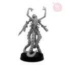 Artel W Miniatures Mistresses Of Flesh & Bicheta Da Sturmorc16
