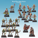 SC Wood Elves Army Starter