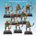 SC Wood Elves Silver Arrows Full Unit