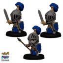 Ninja Division Super Dungeon Conquest Royal Guard 1