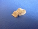 Vanguard Miniatures Pacifier APC 01