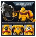 Games Workshop Actionfigur Eines Intercessors Der Imperial Fists Mit Sturmboltgewehr Und Unterlauf Granatwerfer 4