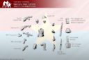 Rubicon Models Weitere Previews 03