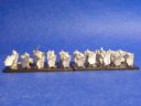 Vanguard Miniatures Forlorn Hope Storm Squads 03