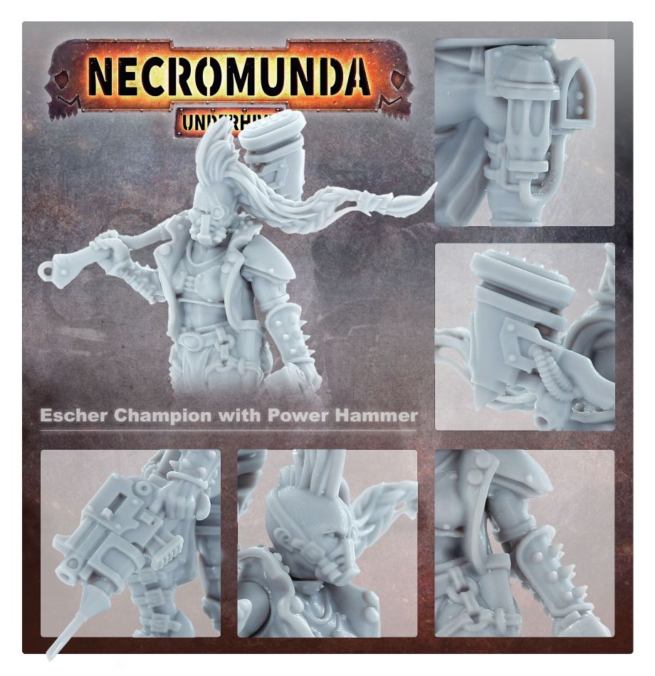 FW Haus Escher Champions Und Waffen Br ckenkopf Online Das FW Haus Escher Champions Und Waffen Br ckenkopf Online Das