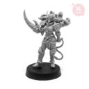 Artel „W“ Miniatures Neuheiten16