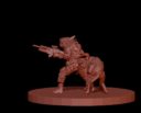 Enemy Spotted  Transvaal Bruiser Team 9