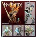 Games Workshop Warcry Sylvaneth 2