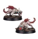 Forge World Escher Phyrr Cats 1