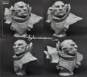 Scibor Orcchiefbust