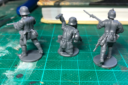 Review Minis3