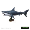 CP Great White Shark 1 01