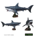 CP Great White Shark 1 02
