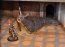 Otherworld Miniatures Neuheiten 2