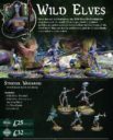 WM ArcWorlde Second Edition Ourks Kickstarter 11