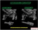 Woe Stalker 10